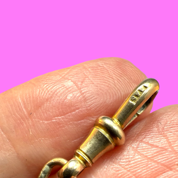 ANTIQUE VICTORIAN 9CT DOG ALBERT CLASP 2.3cm